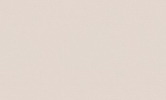 Виниловые обои Белвинил Перья фон 51 10СБ11