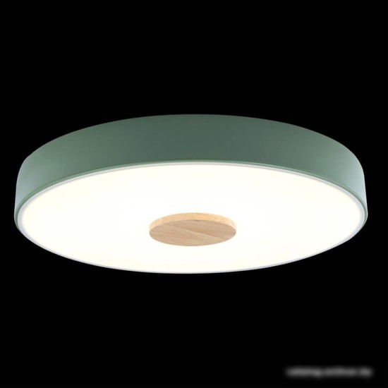 Люстра-тарелка LOFT IT Axel 10003/24 Green