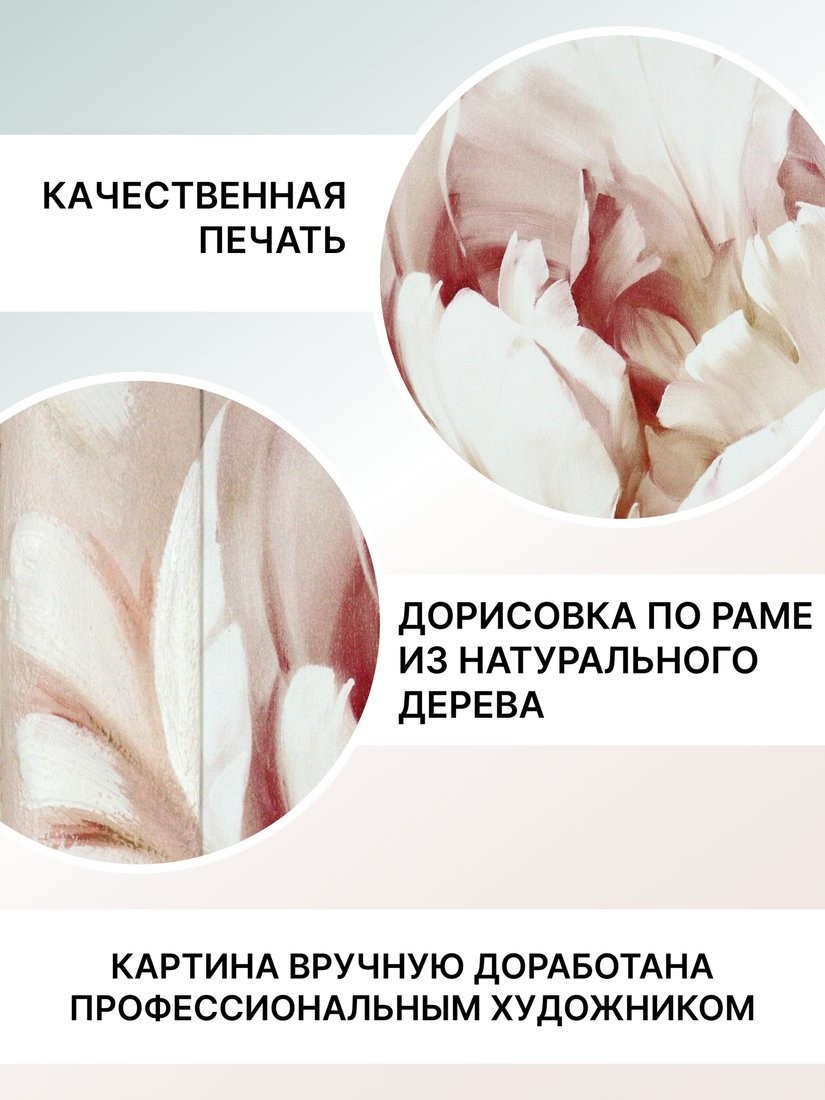 Картина Декарт Цветок пиона 2 8Л0642 (в раме)