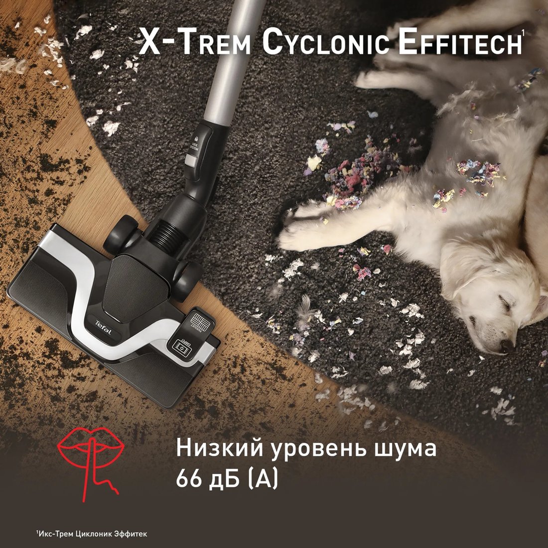 Пылесос Tefal X-Trem Cyclonic Effitech TW7C71EA