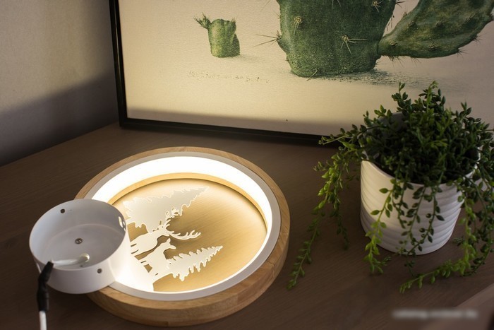 Бра Home Light Астерия C053-1-W