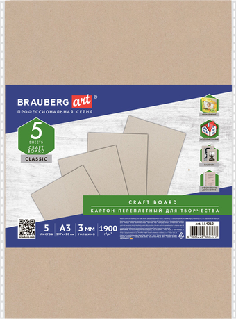 Картон для рисования BRAUBERG Classic Art 114212 (5 шт)
