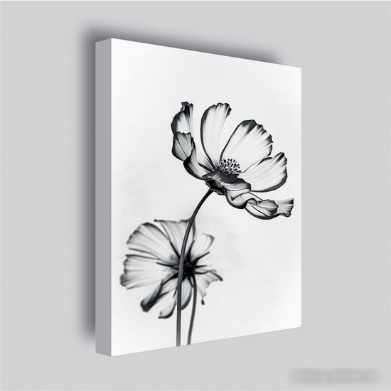 Картина Stamprint Черные цветы 2 TR015 (45x35)