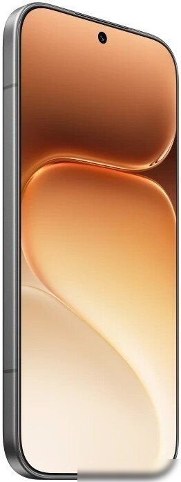 Телефон HONOR 600 Pro Dual SIM 12GB/256GB международная версия (черный)
