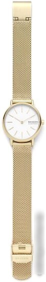 Наручные часы Skagen SKW2693