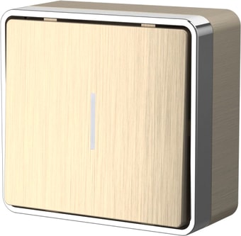 Выключатель Werkel W5010110