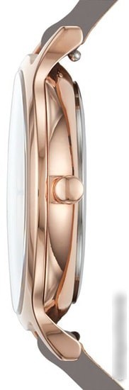 Наручные часы Skagen SKW2672