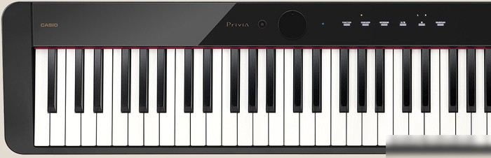 Цифровое пианино Casio PX-S1100 (черный)