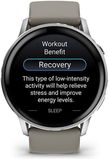 Умные часы Garmin Venu 4 45 мм (серебристый/серый)