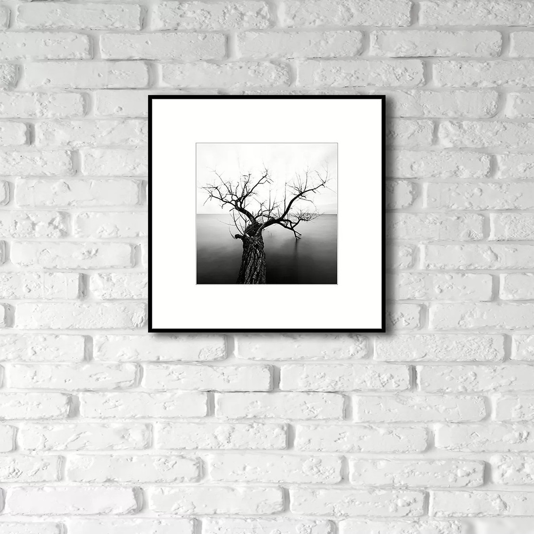 Картина Stamprint Природа 2 BW002 (50x50)