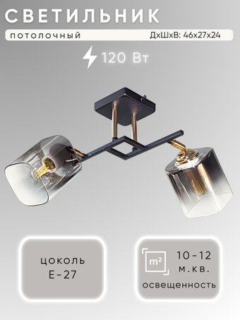 Спот Aitin Pro НПБ 02-2x60-101 N6647/2 (черный/золото)