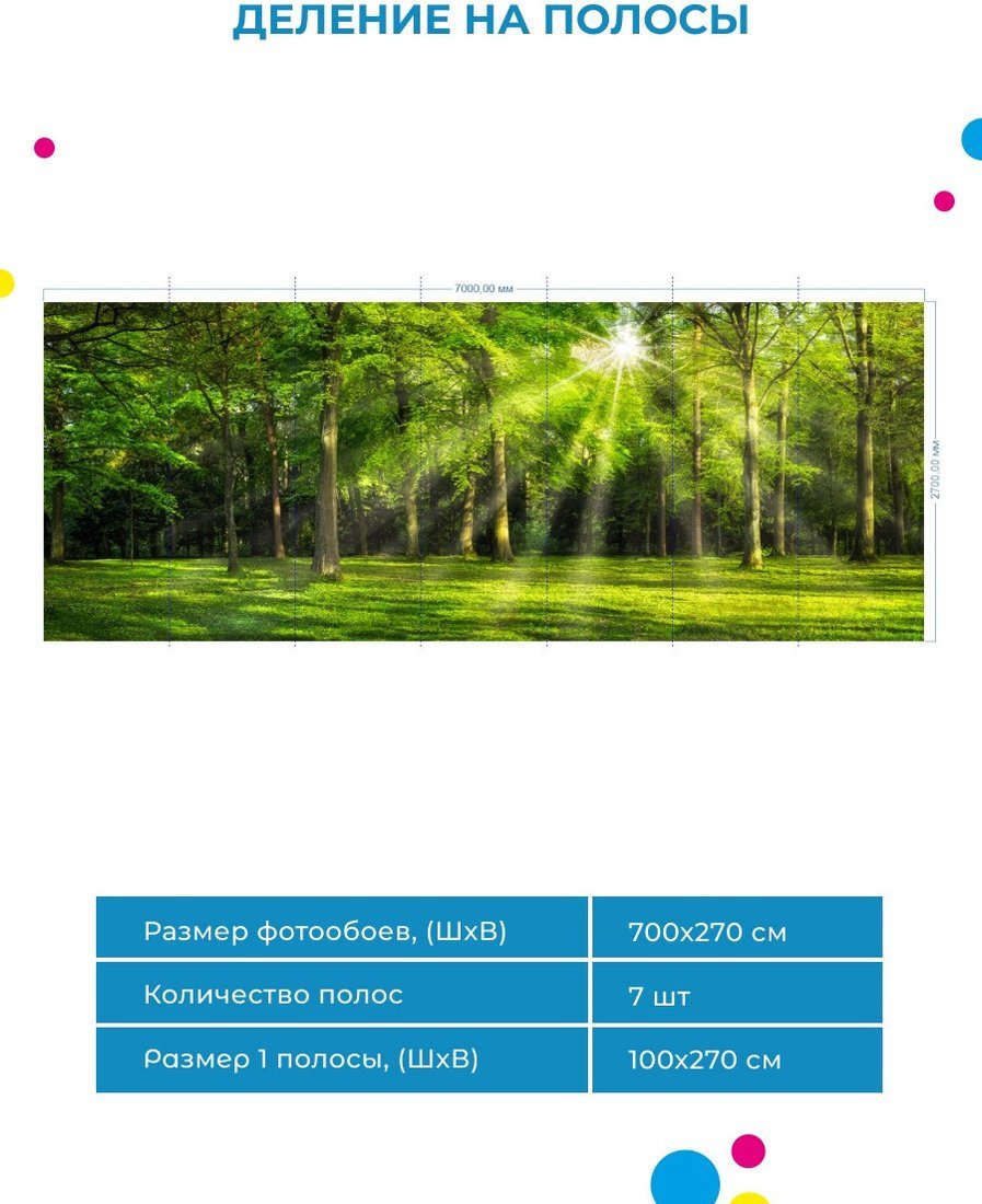 Фотообои ФабрикаФресок Солнечный Зеленый Весенний Лес 1097270 (700x270)