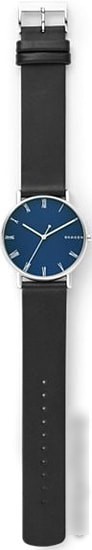 Наручные часы Skagen SKW6434