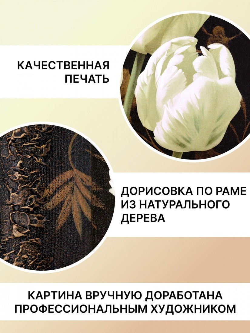 Картина Декарт 8Л2250