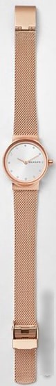 Наручные часы Skagen SKW2665