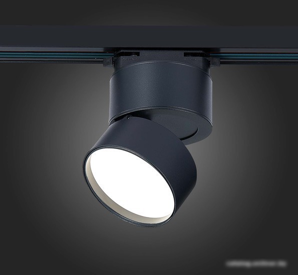 Светильник ST Luce ST651.446.09