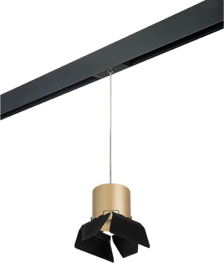 Трековый светильник Lightstar Rullo PRORP3490487