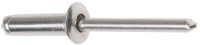 Заклепка вытяжная Starfix SMZ1-49111-25