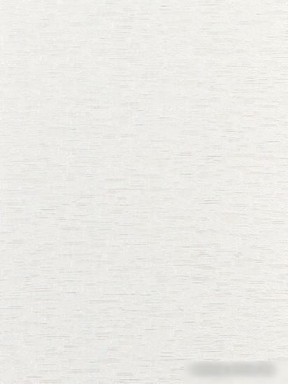 Рулонные шторы Lm Decor LM 46-01 160x170