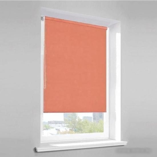 Рулонные шторы Lm Decor Лайт LM 30-12С 43x160