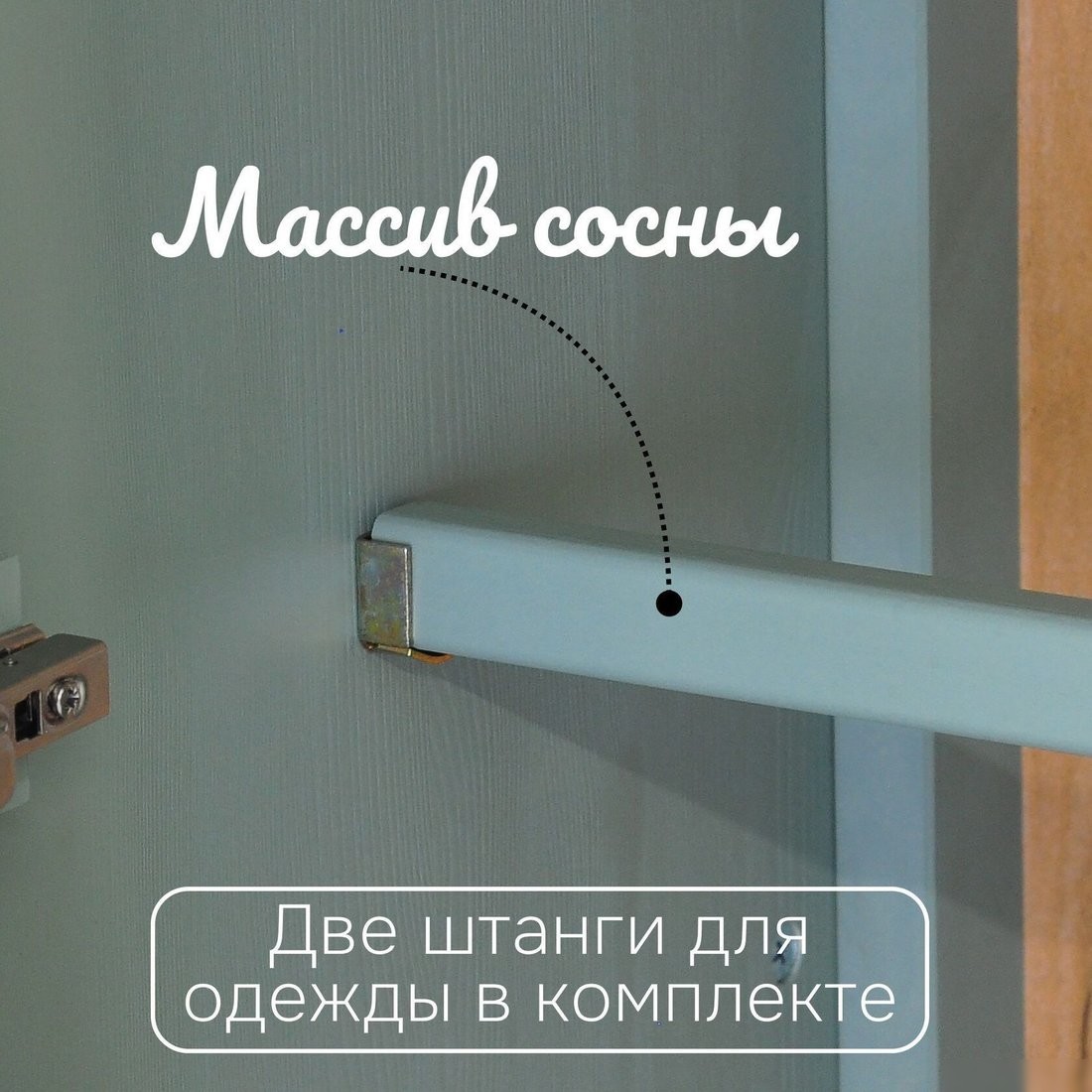 Шкаф распашной Диприз 2 дв Д.70049.1 (Carlos/pantone 5497)