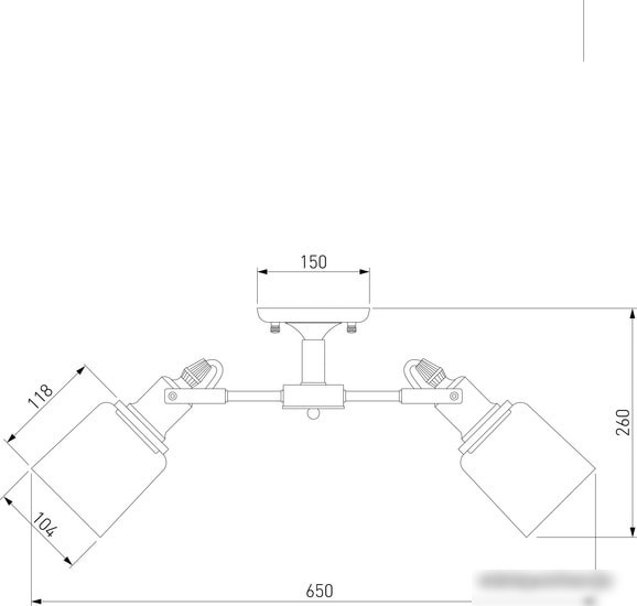Припотолочная люстра Евросвет Astor 70111/5 (черный)