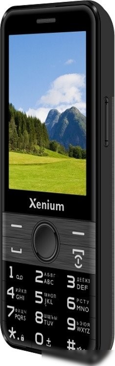 Кнопочный телефон Xenium X800 (черный/серый)