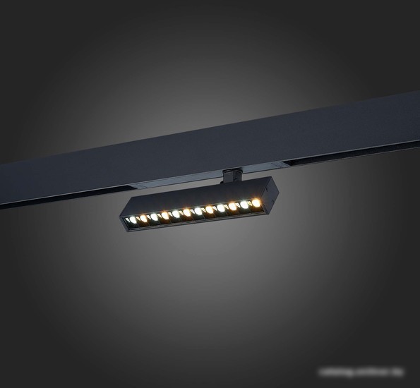 Светильник ST Luce ST656.496.09