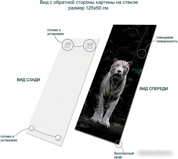 Картина Stamprint Белый тигр AN019 (125x50)