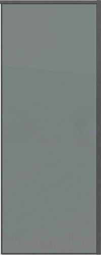 Душевая стенка Grossman Galaxy 100х195 200.K33.01.100.42.10 (графит сатин/стекло тонированное)