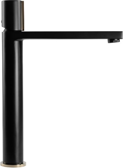Смеситель Rea Icon REA-B5681 (черный/золотой)