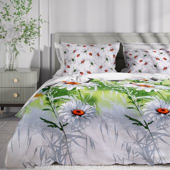 Евро комплект постельного белья Василиса Delight Евро 70x70 3753/1