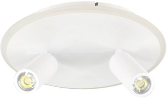 Точечный светильник Escada 20046LED 20046SMA/02LED WH