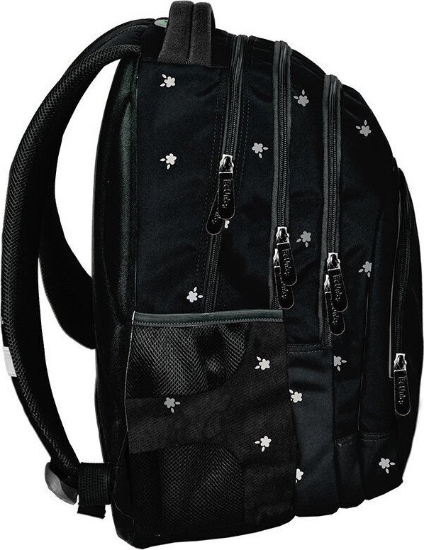 Школьный рюкзак Paso BU25FE-2706