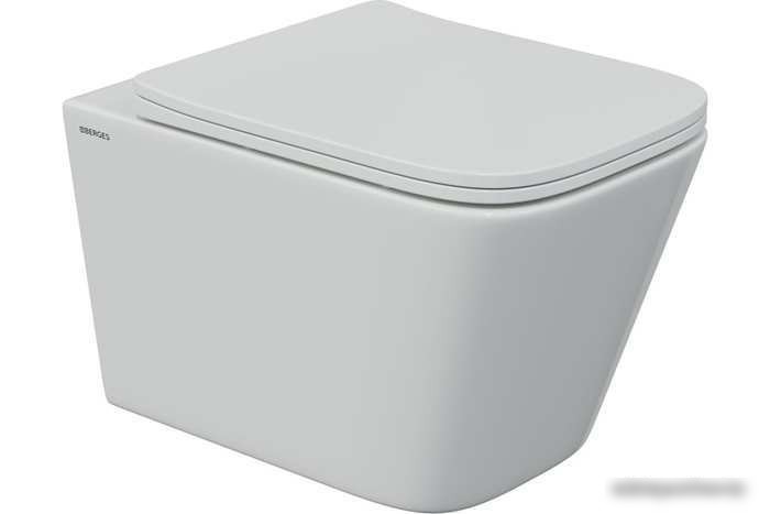 Унитаз Berges Wasserhaus Floe S Rimless 043242 (с сиденьем)