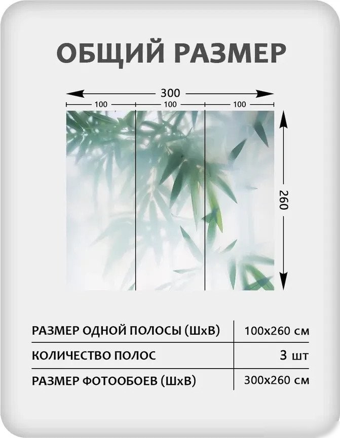Фотообои Mio Tesoro Цветы и Растения 153 (300x260)