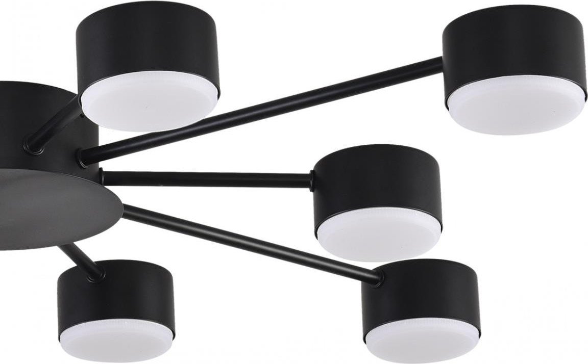 Припотолочная люстра Lumion Torina 8344/10C