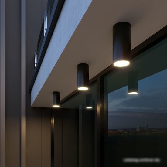 Уличный накладной светильник Elektrostandard Light 2102 35129/H (черный)