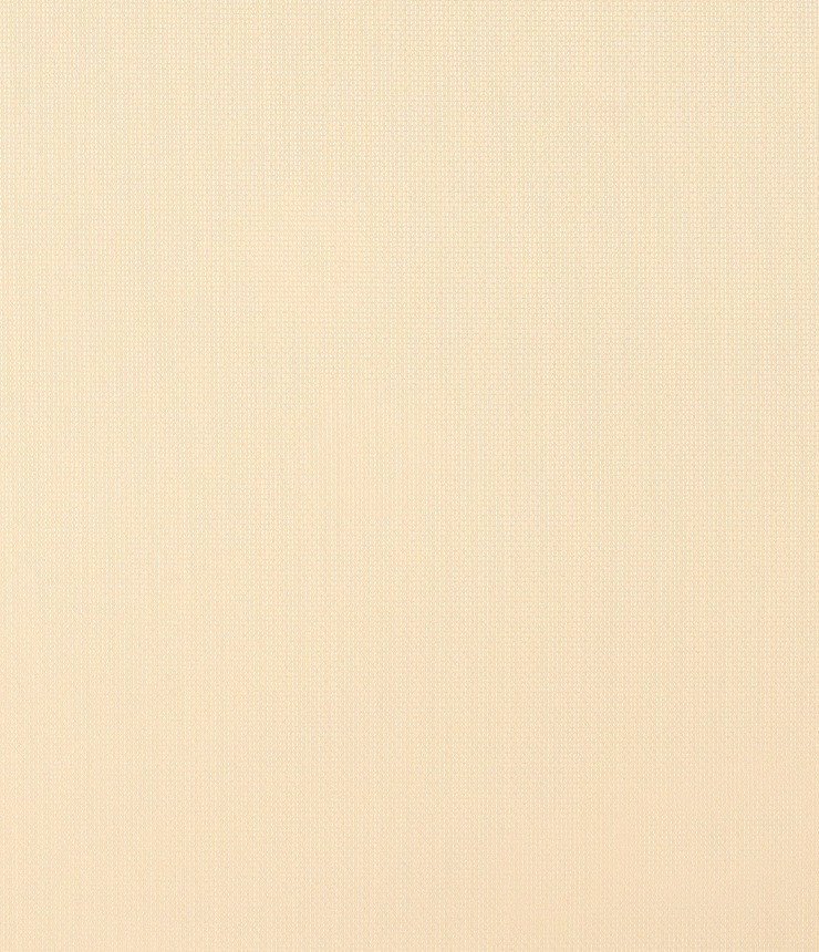 Рулонные шторы Legrand Мелтон 61.5x175 58156504 (бежевый)