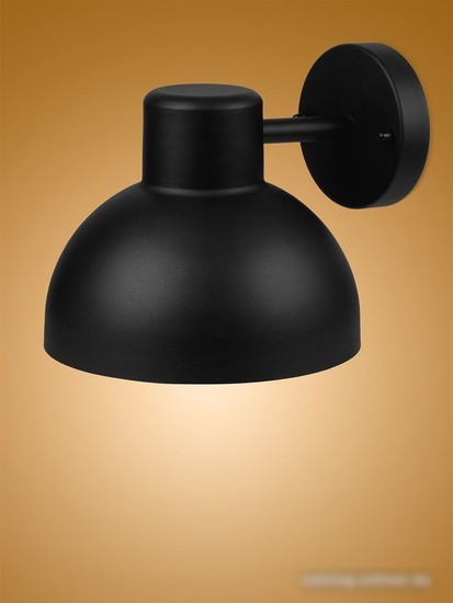 Уличный настенный светильник TDM Electric Бостон-1 SQ0330-0248