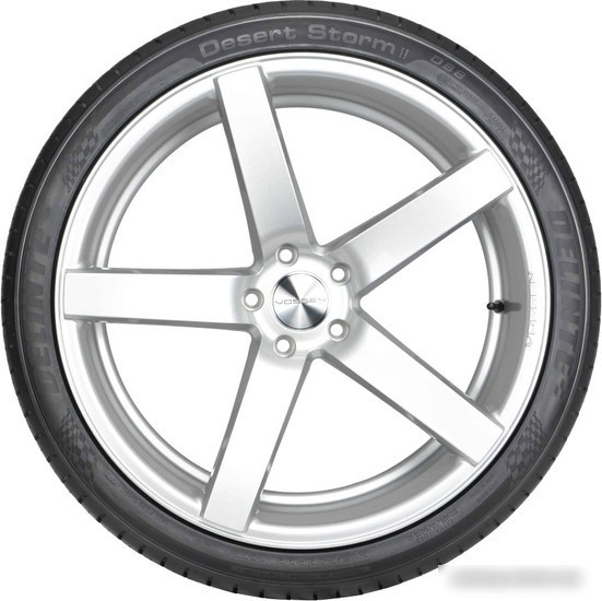 Летние шины Delinte DS8 295/35R21 107Y