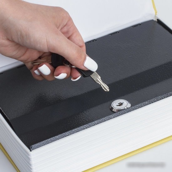 Сейф-книга BRAUBERG 12 стульев