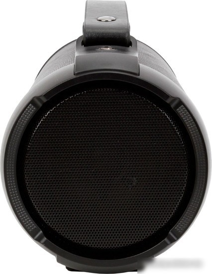 Беспроводная колонка Digma D-PS1520 (черный)