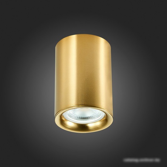 Подвесная люстра ST Luce ST114.207.01