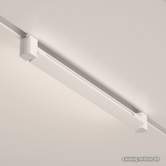 Трековый светильник Maytoni Basis Rot TR104-1-20W4K-W
