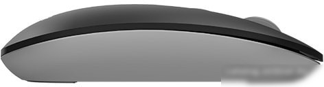 Мышь A4Tech Fstyler FG20 (черный)