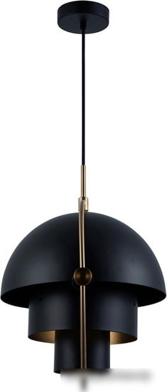 Подвесная люстра LOFT IT Multi-Lite LOFT9915-BL