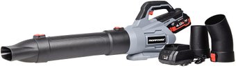 Ручная воздуходувка Profipower MKDUB-18V (с 1-им АКБ)