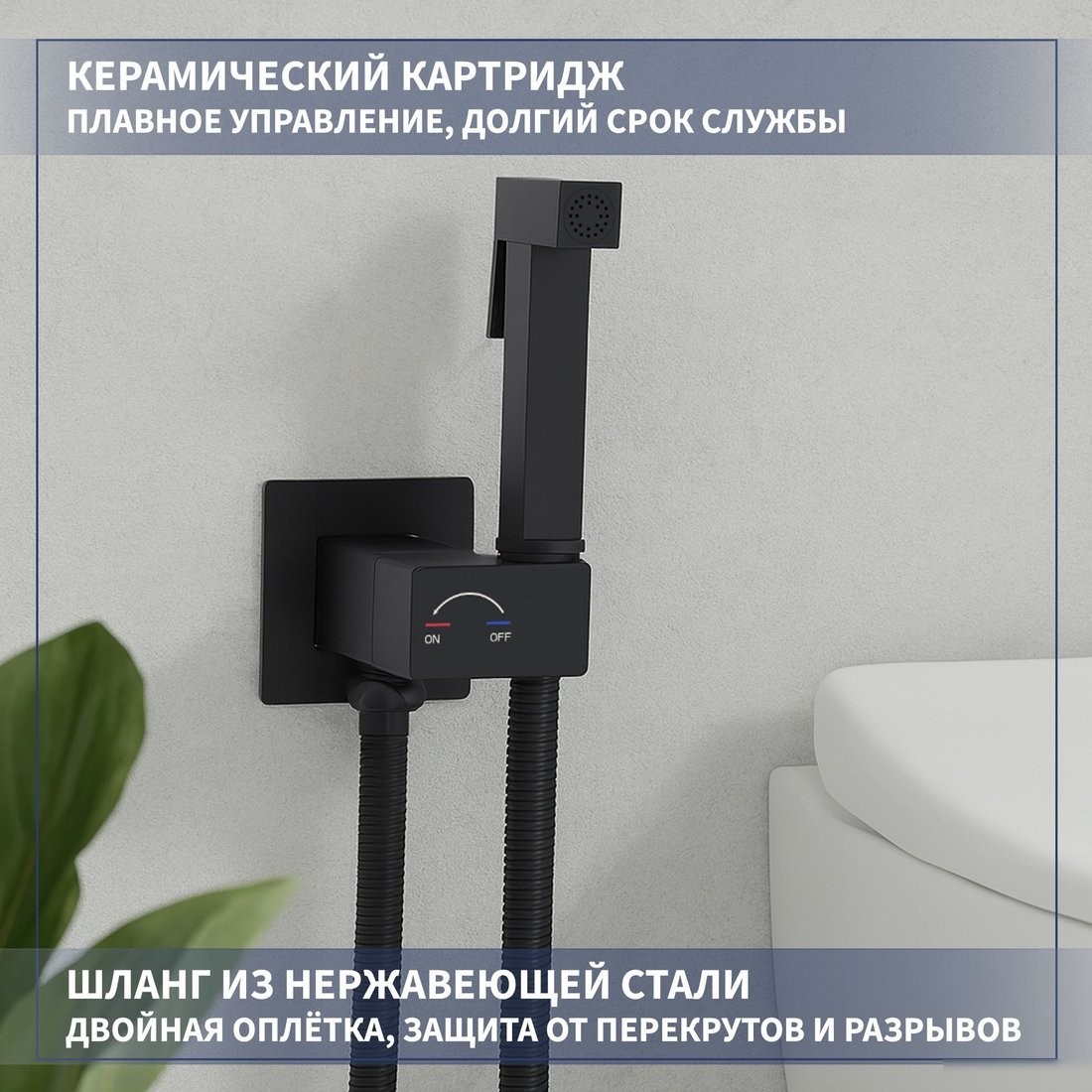Гигиенический душ Lauter Rainix 21LT7712BM