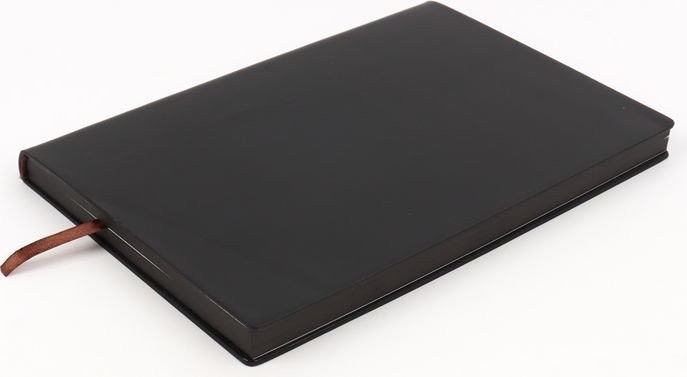 Ежедневник Darvish DV-14809B
